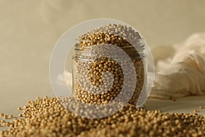 Sorghum and also known as great millet, durra, jowari, jowar, milo is a grass grain