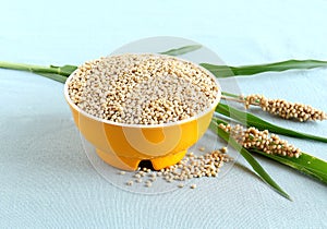 Sorghum in a Bowl