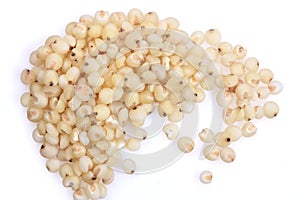 Sorghum Grains