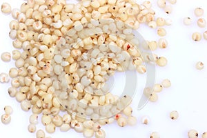 Sorghum Grains