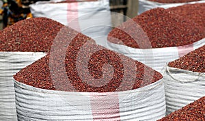 Sorghum