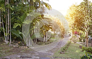 Soroa Orchid Botanical Garden, Pinar del Rio, Cuba photo