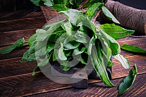 Sorrel. Bunch of fresh green organic sorrel leaf on wooden table