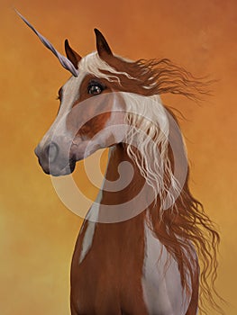 Sorrel Pinto Unicorn