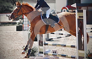 A sorrel pretty pony with a rider in the saddle jumps over a low barrier