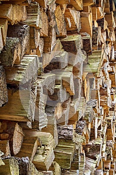 Sorted wood log background texture