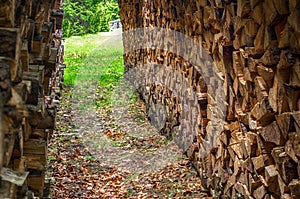 Sorted wood log under a shed