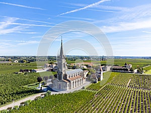 Sorting line, harvest works in Saint-Emilion wine making region on right bank of Bordeaux, picking, sorting with hands and