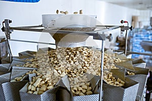 Sorting and packing line of stuffed breakfast cereal pillows at factory conveyor for cereal snack production of flour products,