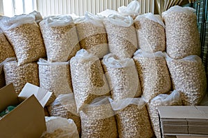 Sorting and packing line of stuffed breakfast cereal pillows at factory conveyor for cereal snack production of flour products -