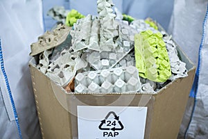 Sorting recyclables. The sorted papier mache - paper pulp egg trays, chewed paper, is placed in a container with the appropriate
