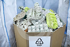 Sorting recyclables. The sorted papier mache - paper pulp egg trays, chewed paper, is placed in a container with the appropriate