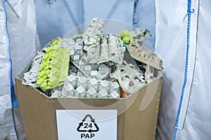 Sorting recyclables. The sorted papier mache - paper pulp egg trays, chewed paper, is placed in a container with the appropriate