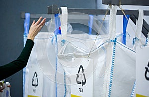 Sorting recyclables. Volunteer eco-activist sort polyethylene Terephthalate PET plastic bottles by color to a containers with