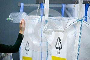 Sorting recyclables. Volunteer eco-activist sort polyethylene Terephthalate PET plastic bottles by color to a containers with