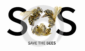 SOS Save the Bees. Decline in Bees due to habitat destruction, pollution and pesticide use, SOS text with O formed by dead bees