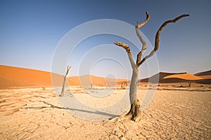 Sossusvlei