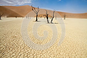 Sossusvlei desert, Namibia