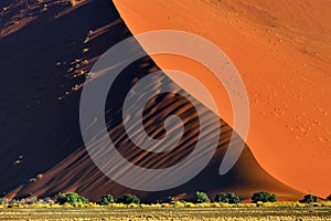 Sossusvlei, Namib Naukluft National Park, Namibia