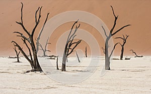 Sossusvlei in Namib Desert, Namibia photo