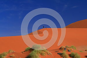 Sossusvlei namib naukluft national park safari red desert dune
