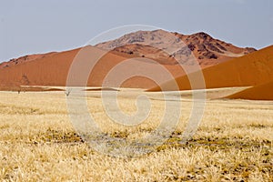 Nambi Desert