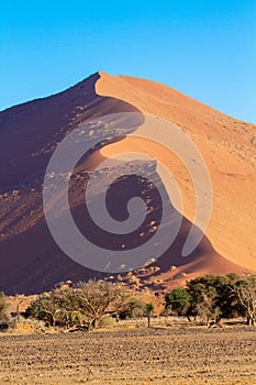 sossusvlei national parks of namibia between desert and savannah