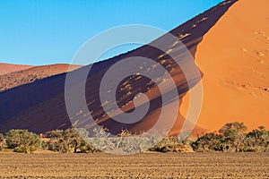 sossusvlei national parks of namibia between desert and savannah