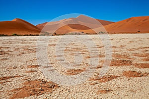 Sossusvlei national parks of namibia between desert and savannah