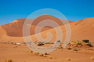 Sossusvlei national parks of namibia between desert and savannah