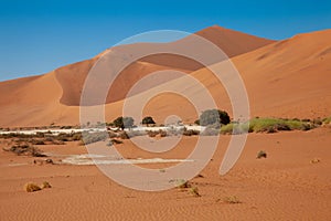 Sossusvlei national parks of namibia between desert and savannah