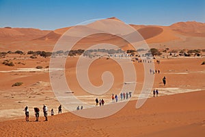 Sossusvlei national parks of namibia between desert and savannah