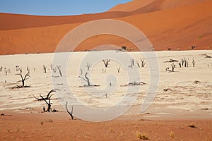 Sossusvlei national parks of namibia between desert and savannah