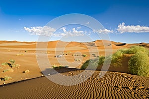 Sossusvlei orange sand dunes, riffles. Beautiful landscape with orange  endless dunes, blue sky, white clouds. Namibia, Africa