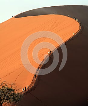 Sossusvlei sand dune 45 in the national park