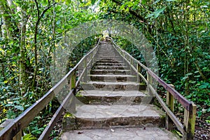 Sotano de las Golondrinas stairs photo