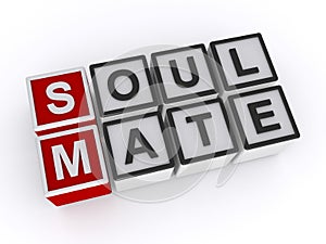Soul mate word block on white