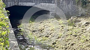 Soultz-Haut-Rhin, France - October 10 2023: Dwindling Waters: The Rimbach Streambed of Soultz-Haut-Rhin in Alsace's Embrace