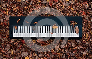 Sound of music in the autumn woods piano photo