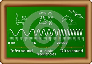 The sound waves vector diagram