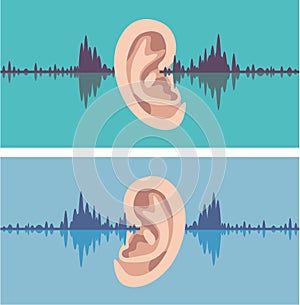 Soundwave through the human ear