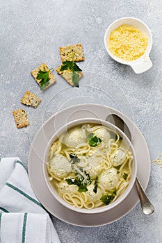 Soup with chicken meatballs and egg pasta with parmesan cheese and parsley. Children`s Italian food with pasta and meat.