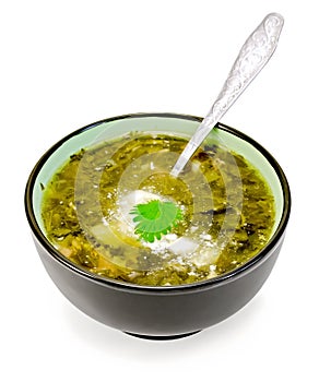 Soup green nettle