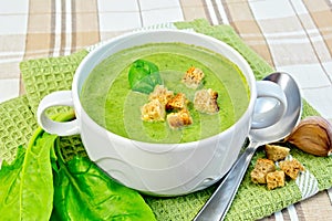 Soup puree with spinach and garlic on fabric