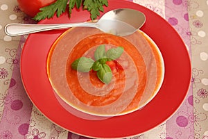 Soup of tomatoes