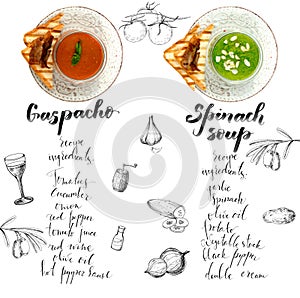 Soups and hand drawn ingredients and drawings