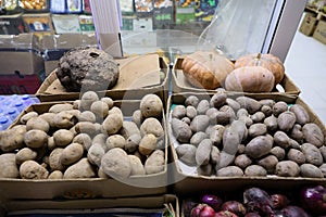 Souq Sinaw, Nizwa, Oman