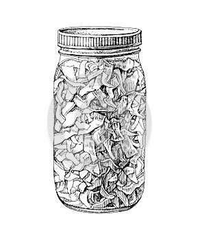 Sour cabbage in glass jar vector