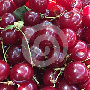 Sour cherries