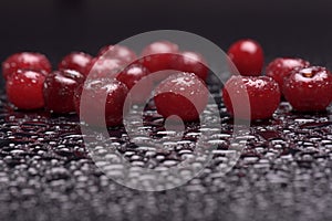 Sour cherries with water drops